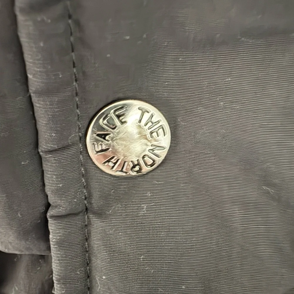The North Face this jacket